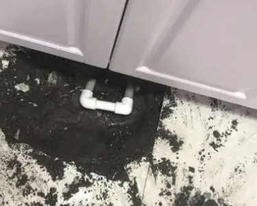 新县查漏水哪家好