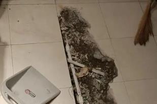 新县卫生间漏水检测电话